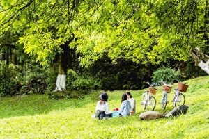 赵丽颖隐婚传闻曝光，与导演赵德胤亲密出游引热议