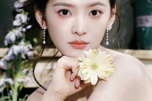 精选图片集锦：视觉盛宴一览