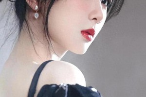 精选图片展示：204816至204818系列