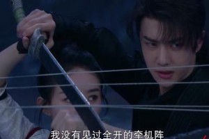 赵丽颖王一博《有翡》开播：演技突破与剧情争议