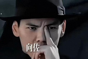 向佐《门前宝地》票房惨淡 医生警告手势风险引热议