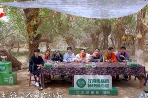 张艺凡《极限挑战》连摔三次，长凳陷阱引热议