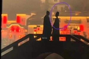 杨紫《家业》路透曝光：天鹅颈引南孚电池梗爆笑