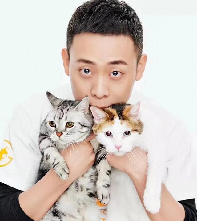 张译与猫咪
